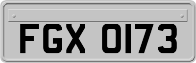 FGX0173