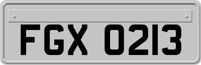 FGX0213