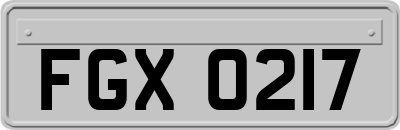 FGX0217