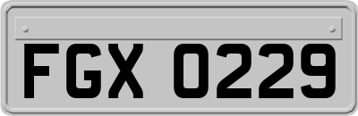 FGX0229