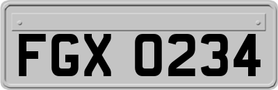 FGX0234