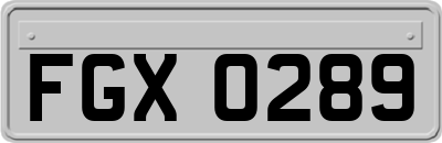 FGX0289