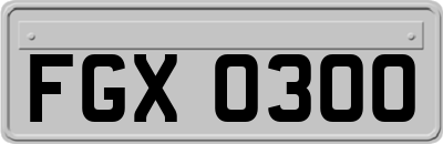 FGX0300