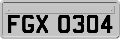 FGX0304