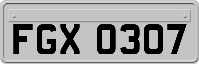 FGX0307