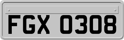 FGX0308