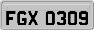 FGX0309