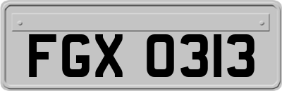 FGX0313