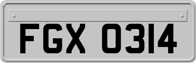 FGX0314