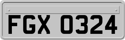 FGX0324