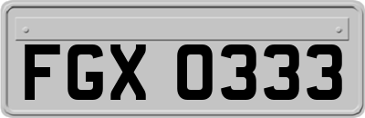 FGX0333