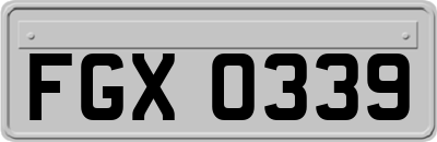 FGX0339