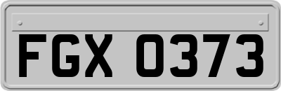 FGX0373