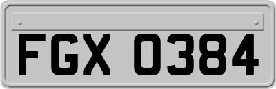 FGX0384