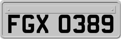 FGX0389