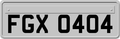 FGX0404