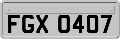 FGX0407