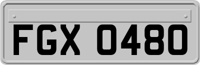 FGX0480