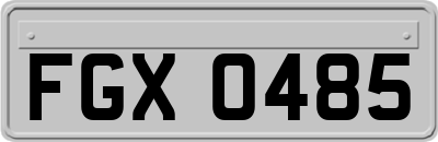 FGX0485