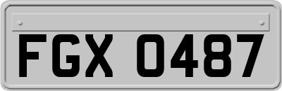 FGX0487