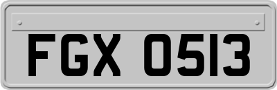 FGX0513