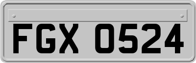 FGX0524