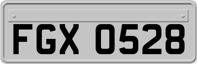 FGX0528