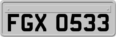 FGX0533
