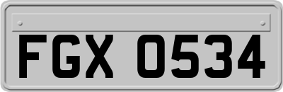 FGX0534