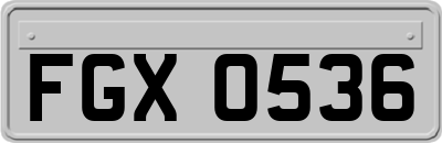 FGX0536