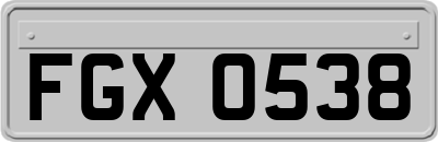 FGX0538