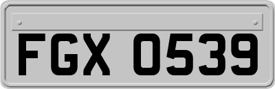 FGX0539