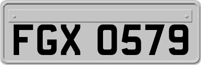 FGX0579