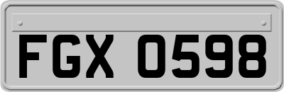 FGX0598