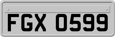 FGX0599