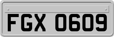 FGX0609