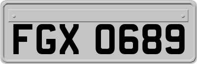 FGX0689