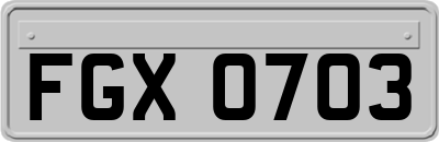FGX0703