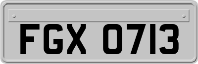 FGX0713