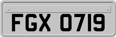 FGX0719
