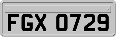 FGX0729