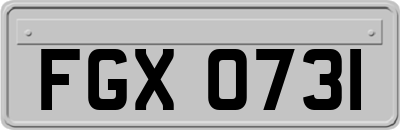 FGX0731