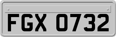 FGX0732