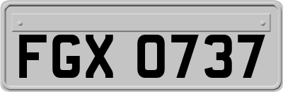 FGX0737