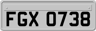 FGX0738