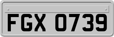 FGX0739