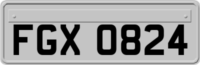 FGX0824
