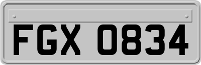 FGX0834