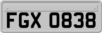 FGX0838