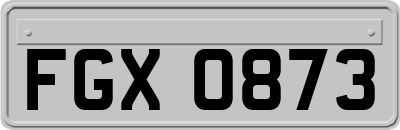 FGX0873